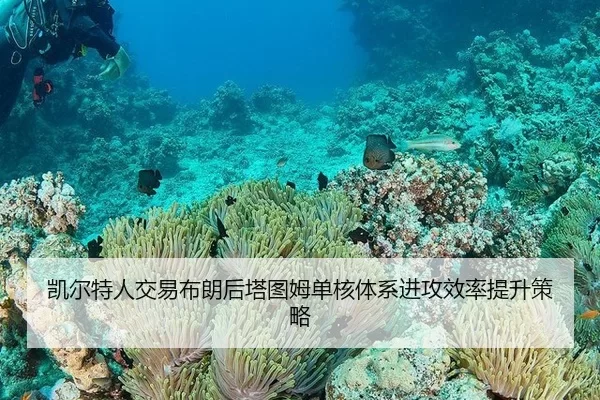 凯尔特人交易布朗后塔图姆单核体系进攻效率提升策略